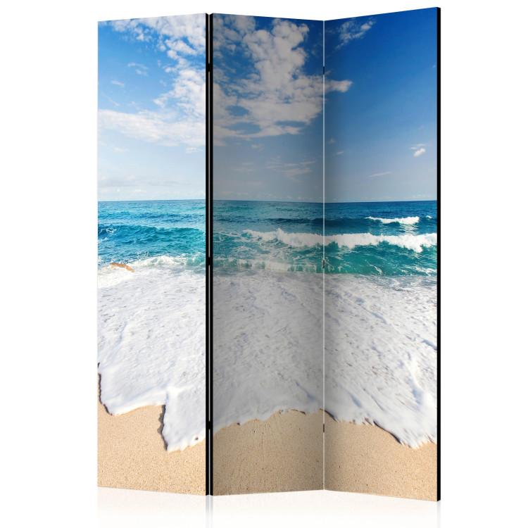 Room Divider By the Seashore - seascape against a cloudy sky