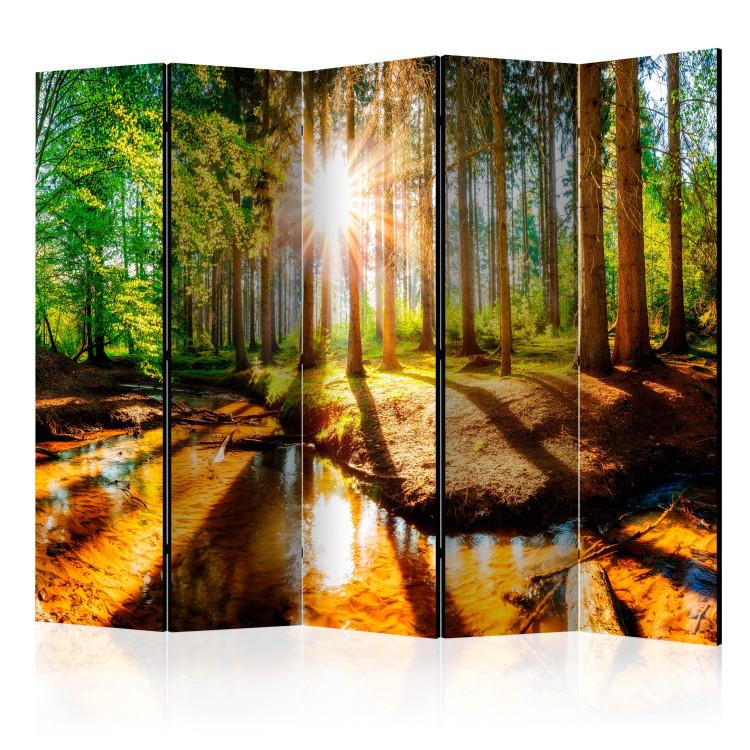 Room Divider Enchanted Forest II - river landscape amidst forest trees in sunlight