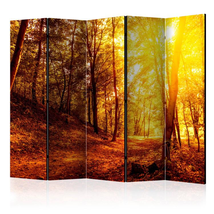 Room Divider Autumn Stroll II - landscape of golden autumn tree scenery