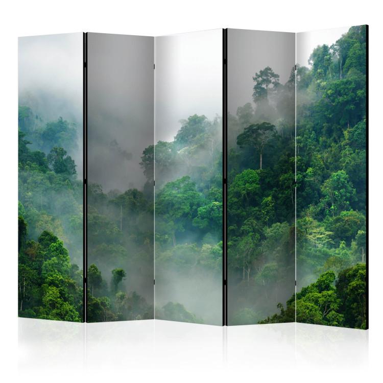 Room Divider Morning Mist II - landscape of a tropical forest in heavy mist