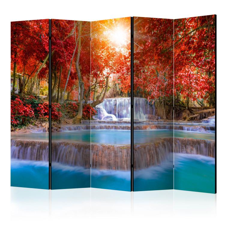 Room Divider Magic of Nature II - waterfall landscape in a forest with red trees