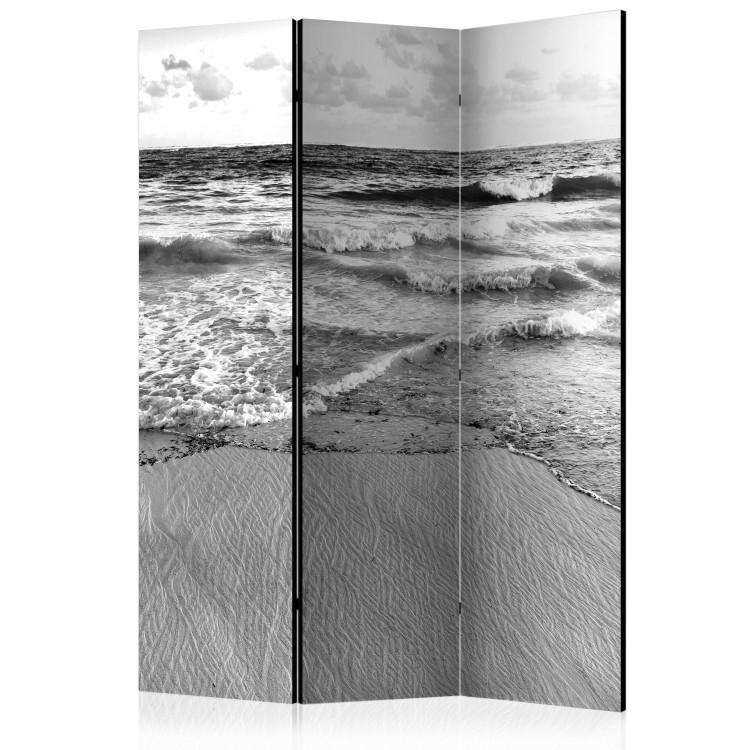 Room Divider Subtle Afternoon - black and white seascape landscape with waves