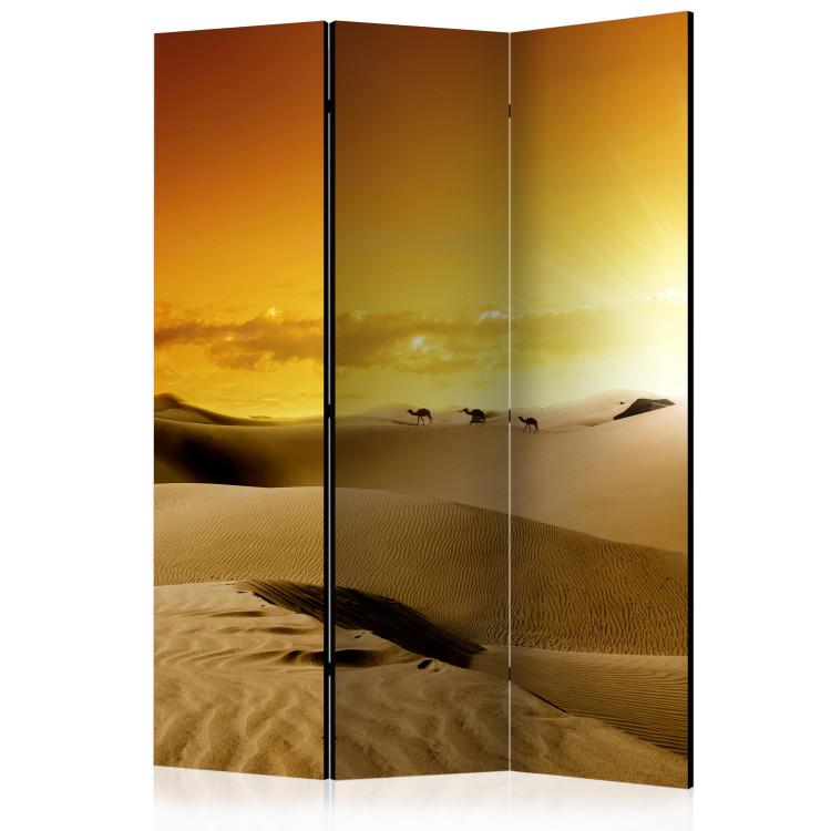 Room Divider Camel Caravan - landscape of sandy desert against sunset