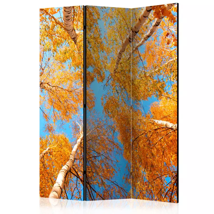 Room Divider Autumn Tree Crowns (3-piece) - orange leaves against the sky