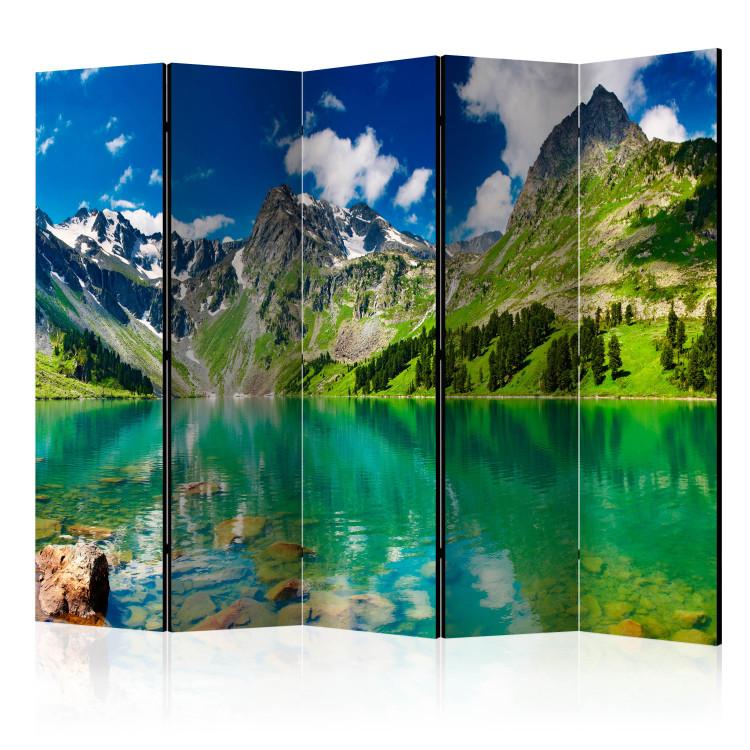 Room Divider Mountain Lake II (5-piece) - water landscape against mountains and trees