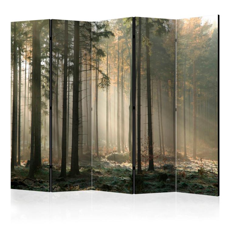 Room Divider Foggy November Morning II (5-piece) - landscape of trees in the middle of the forest