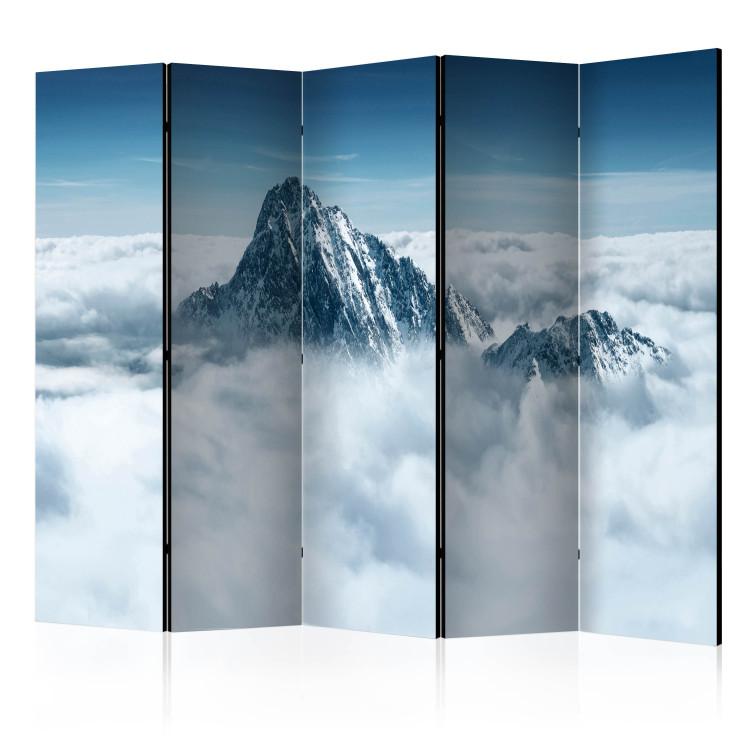 Room Divider Mountain in the clouds II [Room Dividers]