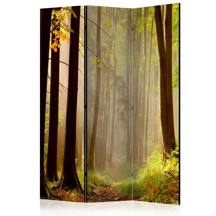 Room Divider Mysterious Forest Path (3-piece) - landscape of a path and forest trees
