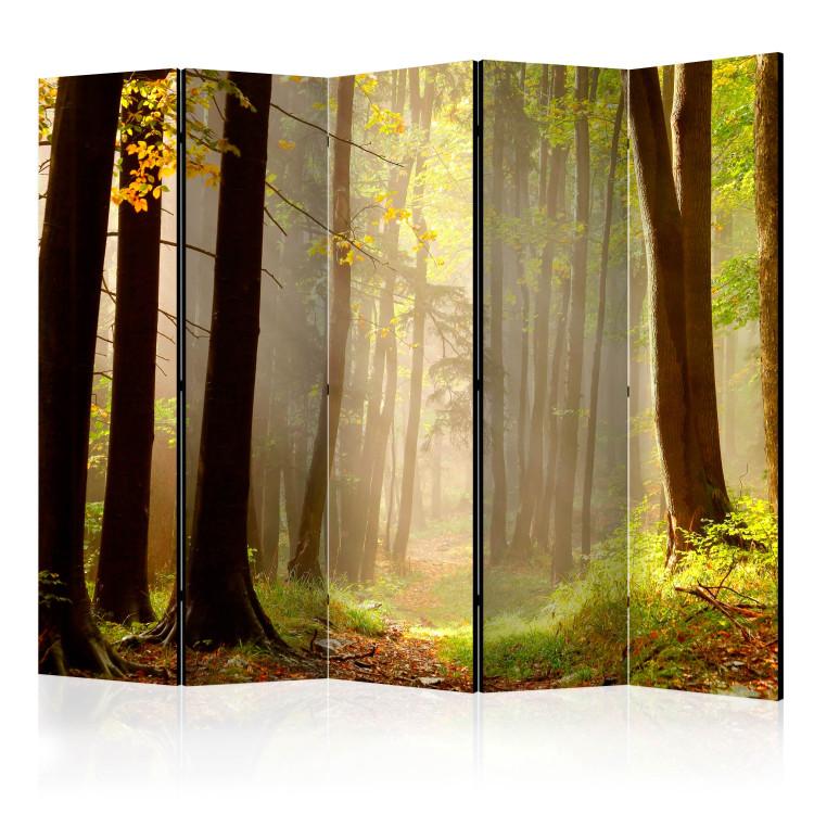 Room Divider Mysterious Forest Path II (5-piece) - landscape among forest trees