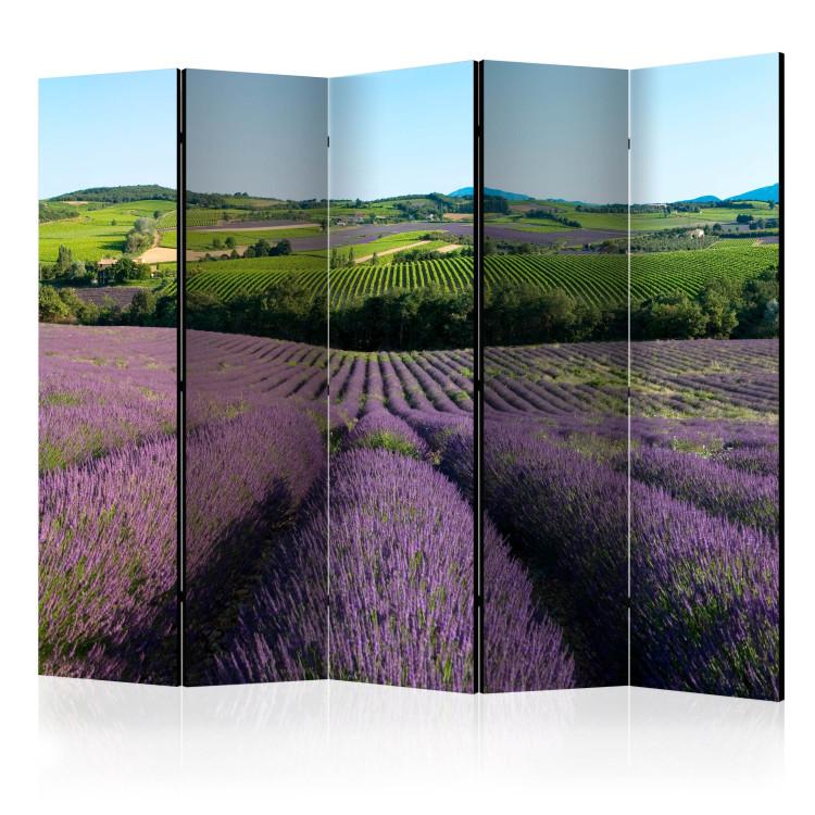 Room Divider Lavender Fields II (5-piece) - Provencal landscape of blooming nature