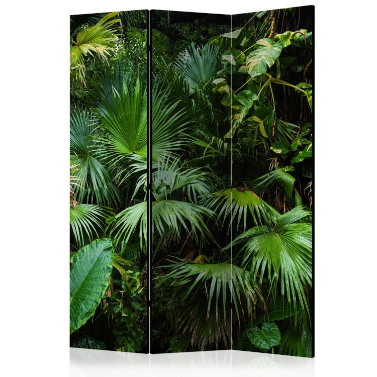 Room Divider Sunny Jungle (3-piece) - green leaves of tropical plants