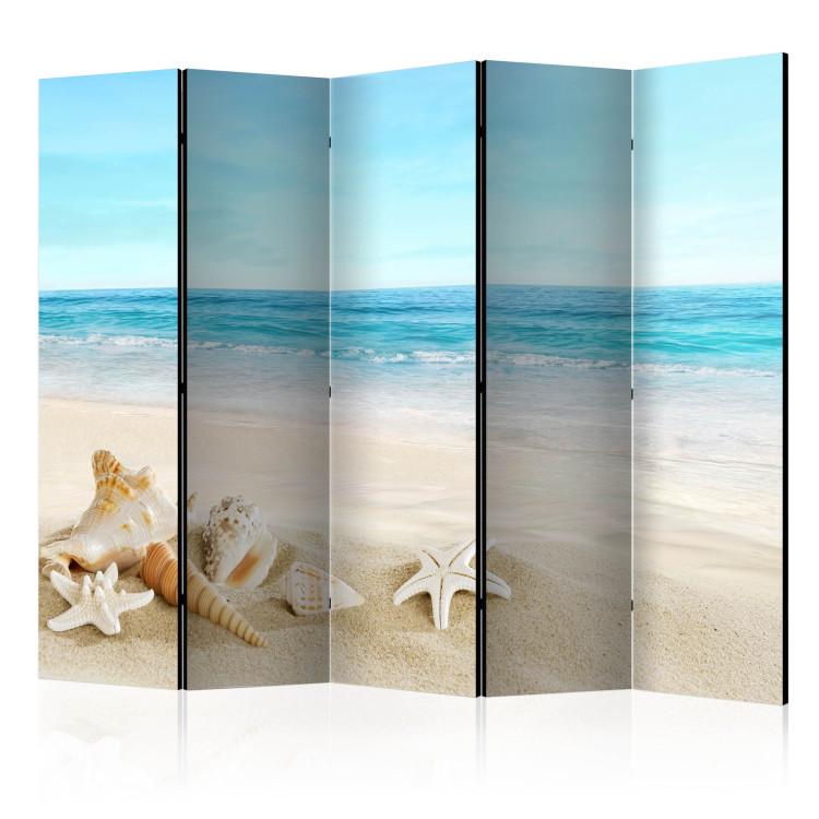 Room Divider Flower Blanket 2a (5-piece) - seascape and beach landscape against the sky