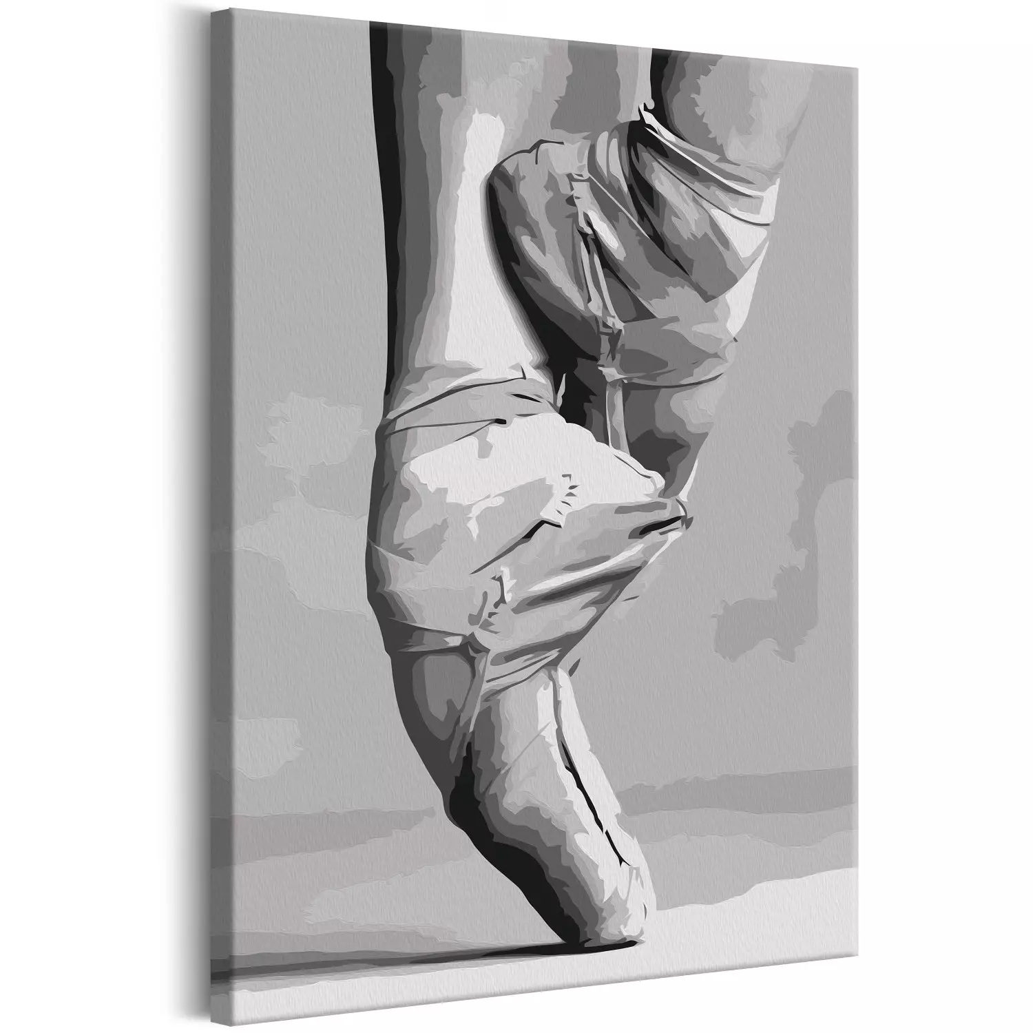 Paint by numbers for adults Ballet Shoes bimago