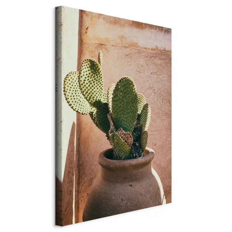 Cactus in a Pot Vertical - green plant in Morocco