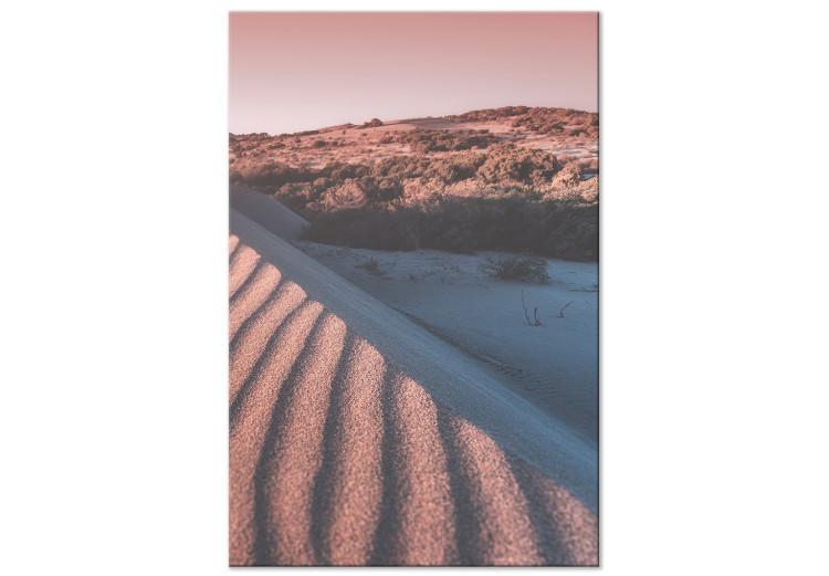 Canvas Print Pink Sands (1-piece) Vertical - landscape of the Arab desert