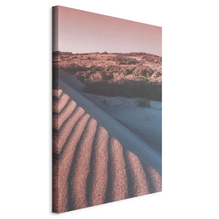 Pink Sands Vertical - landscape of the Arab desert