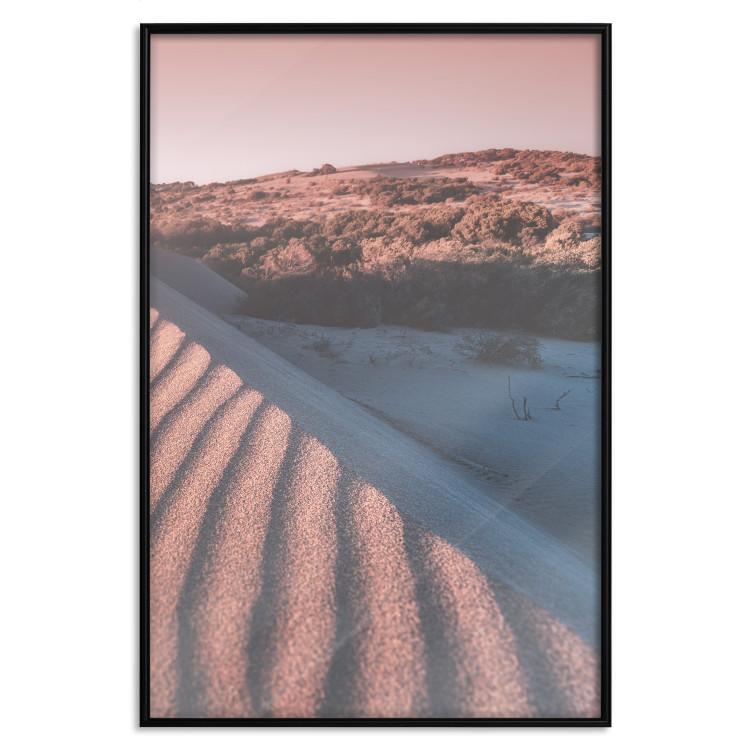 Poster Pink Sands - desert landscape and plants in an orange composition