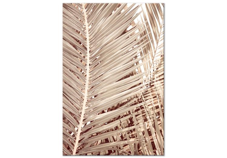 Canvas Print Dried palm - sharp, dry palm leaves on a white background
