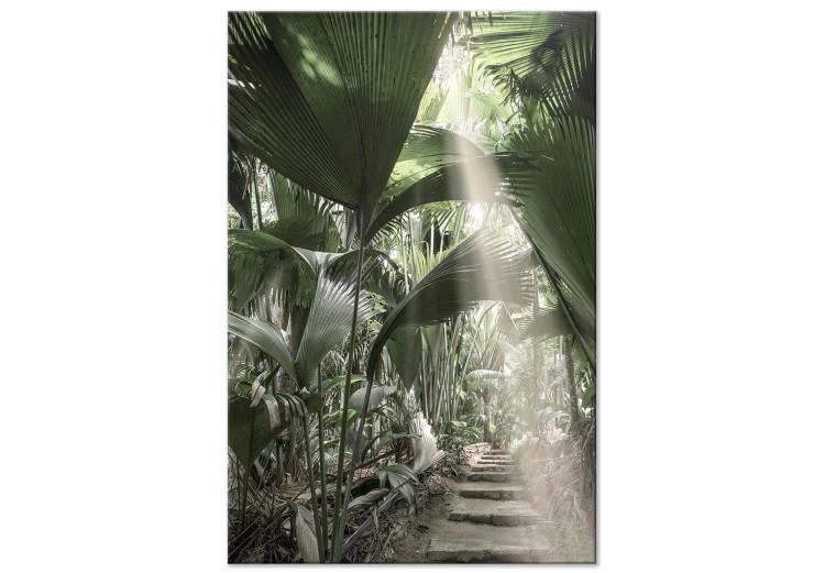 Canvas Print Bundle of Light (1-piece) Vertical - tropical vegetation landscape