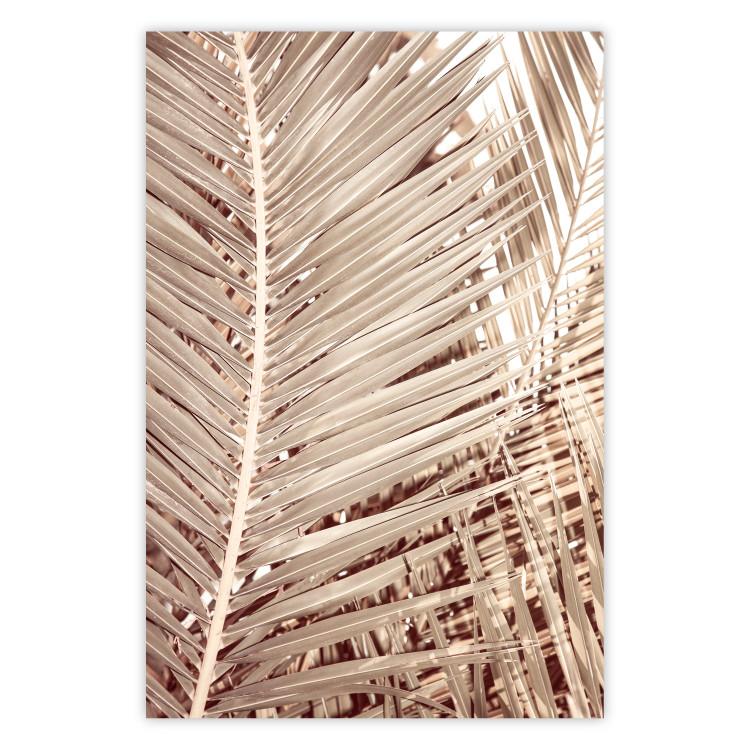 Poster Beige Palm - composition of tropical palm leaves in golden hue