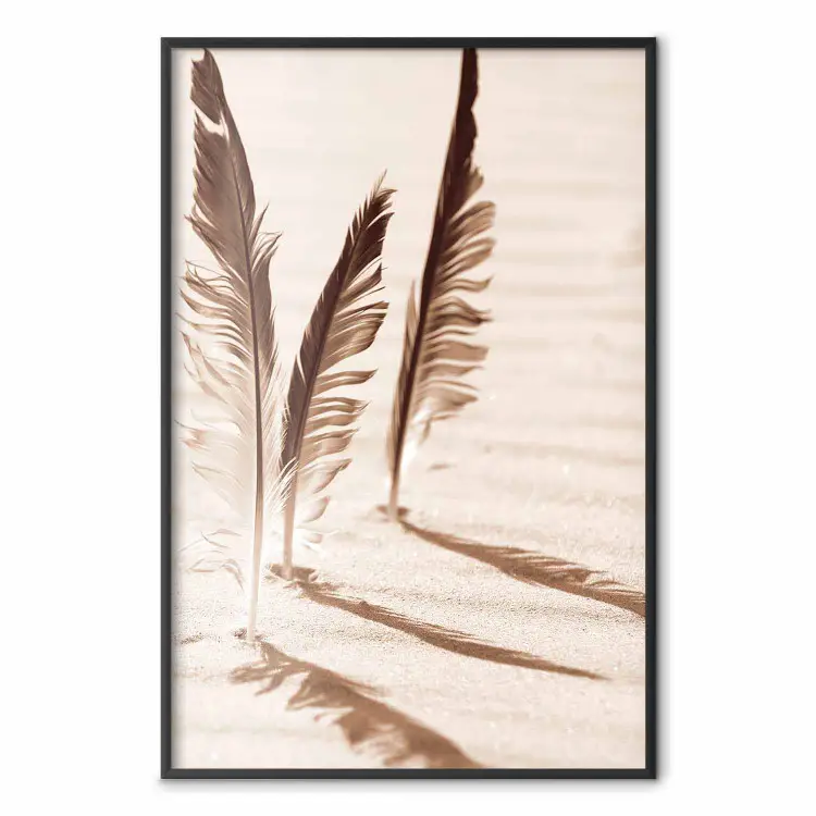 Shady Feathers - marine composition of feathers in sand in sepia colors