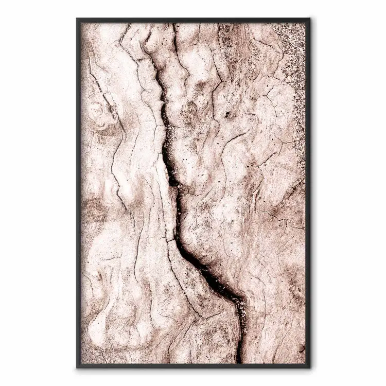 Touch of Tropical Wind - natural texture of cracked driftwood
