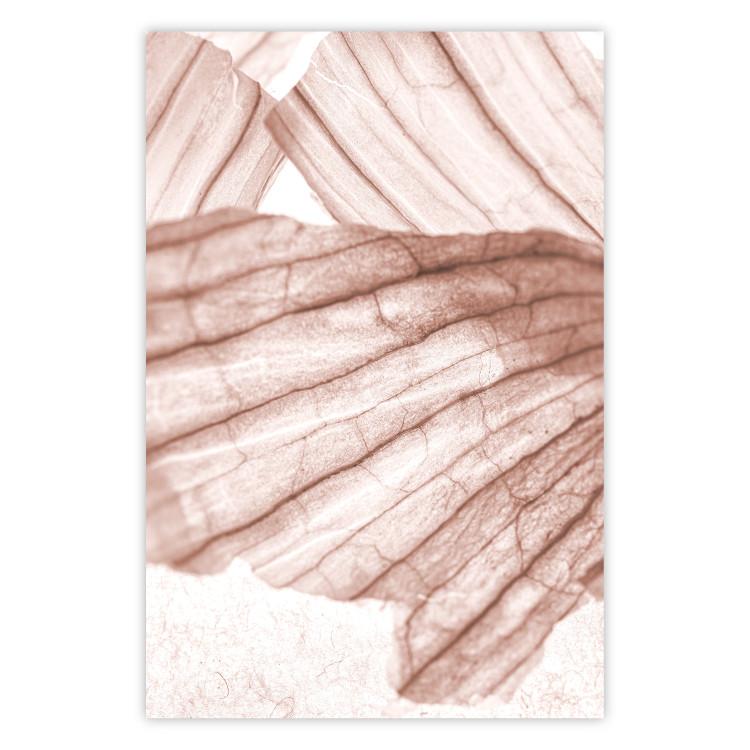 Poster Winged Light - abstract light wood texture