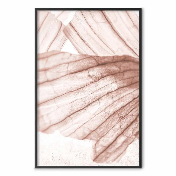 Winged Light - abstract light wood texture