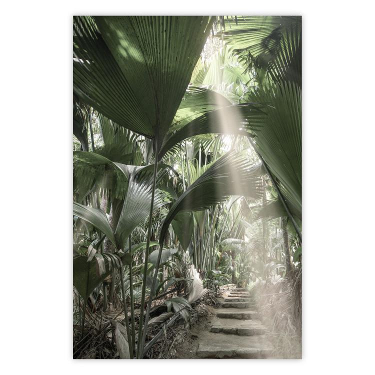 Poster Beam of Light - tropical composition of green jungle in sunlight
