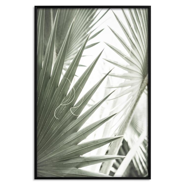 Poster Great Brilliance - tropical composition of green leaves on a light background