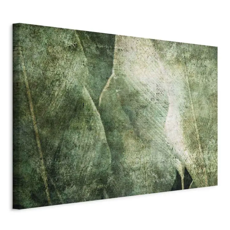 Big leaves - Worn image of exotic leaves plants