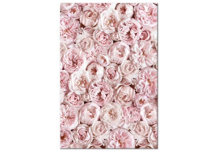 Canvas Print Rose Carpet - Carpet with pink flowers seen from above in pink color