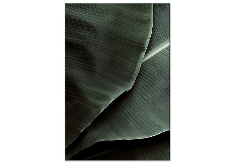 Canvas Print Intensive green - two thick cold-green leaves with a visible pattern