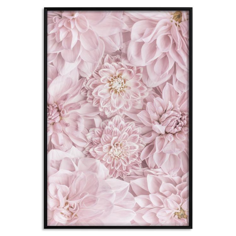 Poster Morning Flowers - composition of pink flowers in a romantic motif