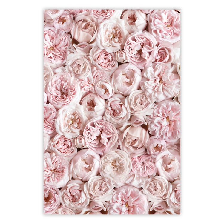 Poster Garden Flowers - composition of pink flowers in a romantic motif