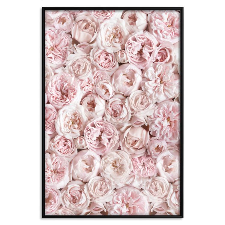 Poster Garden Flowers - composition of pink flowers in a romantic motif