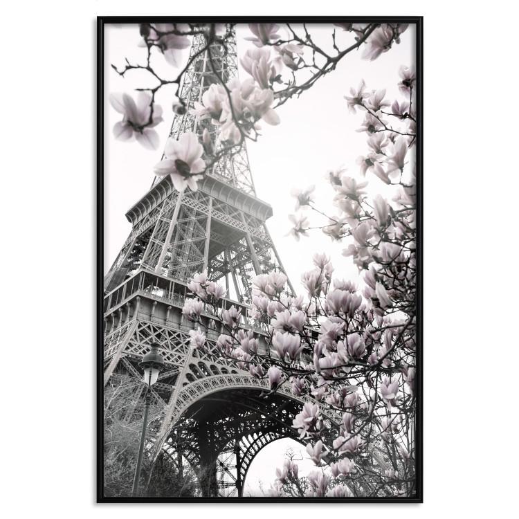 Poster Parisian Magnolias - bright landscape of magnolia flowers with the Eiffel Tower in the background