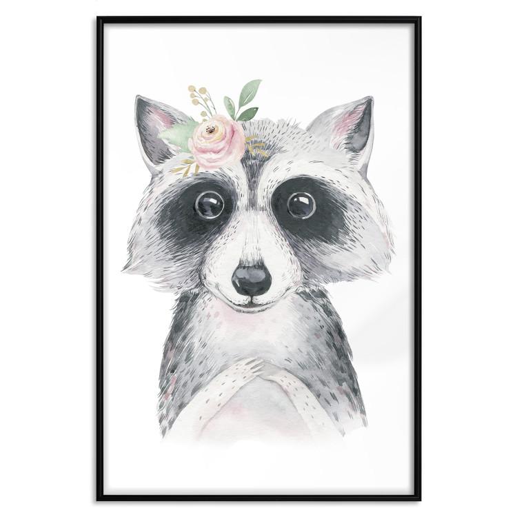 Poster Little Raccoon - funny portrait of an animal on a white contrasting background