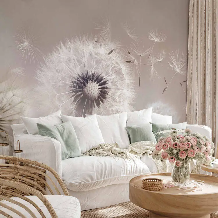 Fleeting Summer - Close-Up of White Dandelions on a Beige Background
