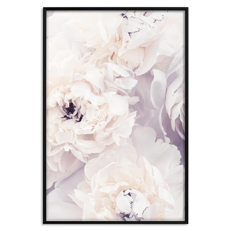 Poster Vanilla Magnolias - composition of flowers with a delicate purple hue
