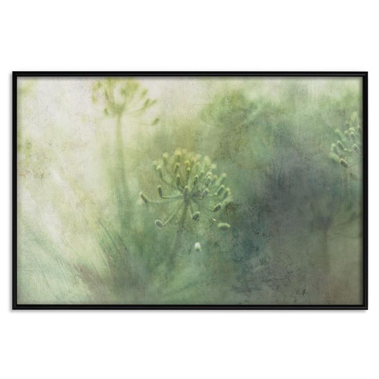 Poster May Meadow - green composition of meadow and flowers in bright light