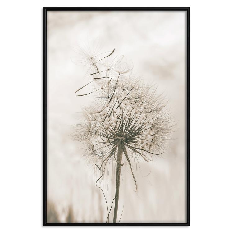 Poster Gentle Breeze - composition with a delicate light dandelion flower