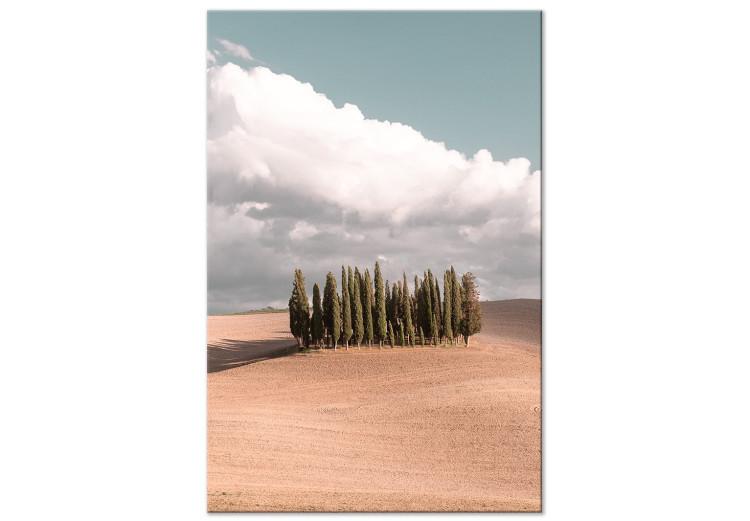 Canvas Print Tuscan forest - photo with a landscape of Tuscany and cypresses