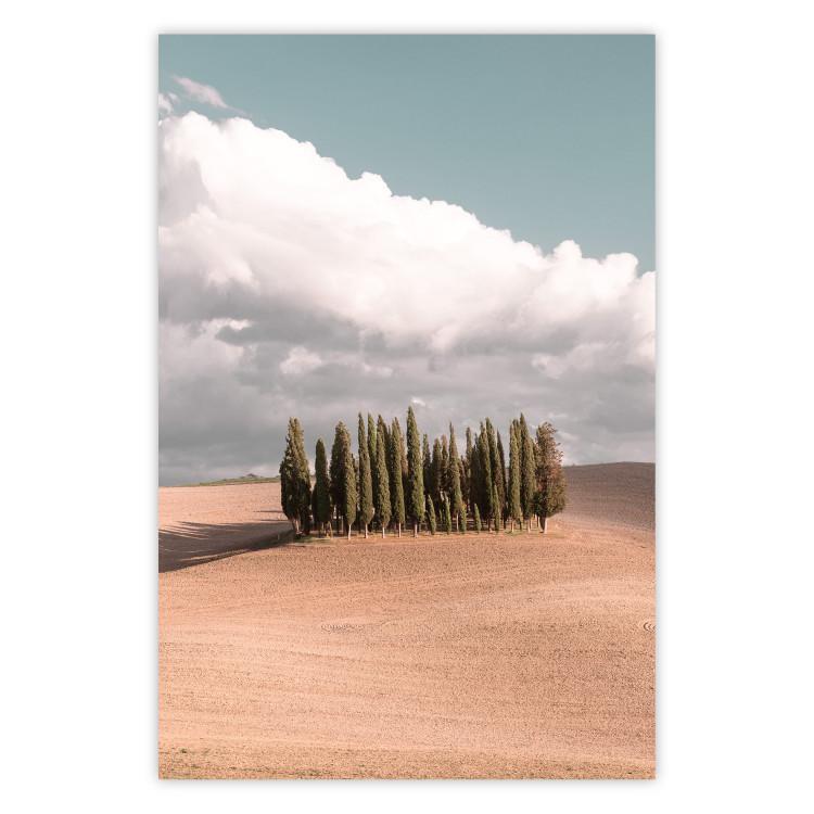 Poster Sweet Tuscany - warm landscape of a field against trees and clouds