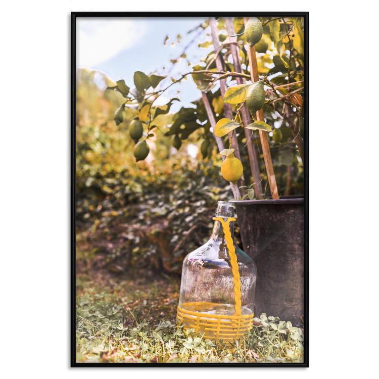 Poster Lemon Harvest - warm nature shot overlooking blooming plants