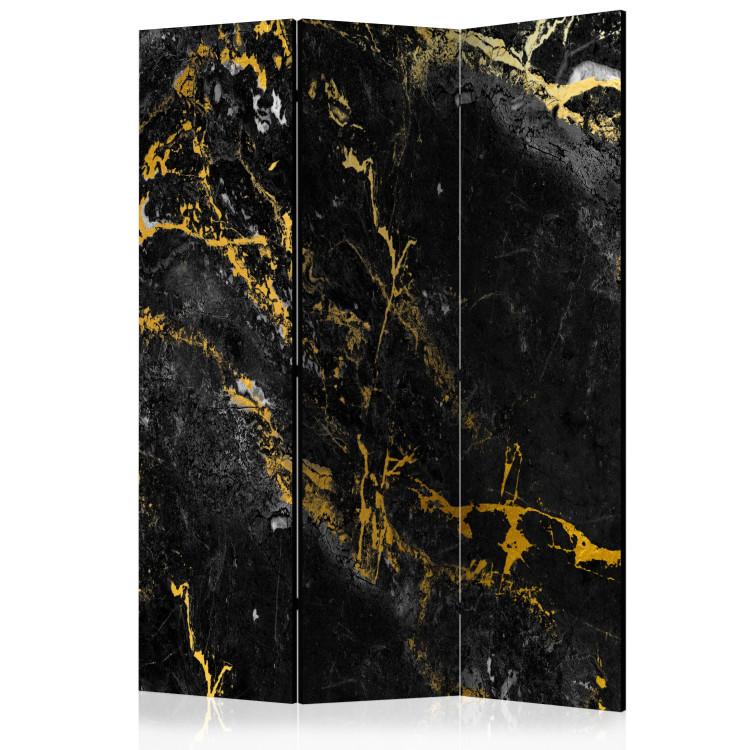 Room Divider Black Elegance (3-piece) - Background with texture of black marble