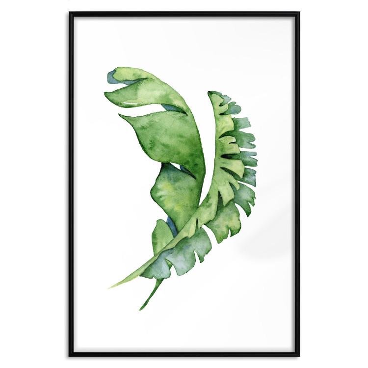 Poster Intertwined Leaves - watercolor composition with green foliage on white