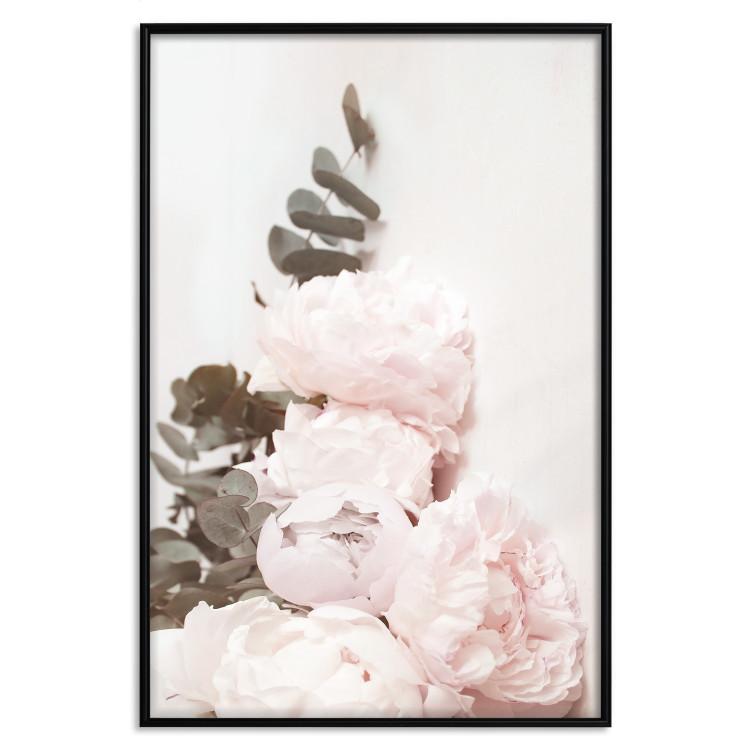 Poster Vanilla Peonies - a romantic composition with flowers on a light background