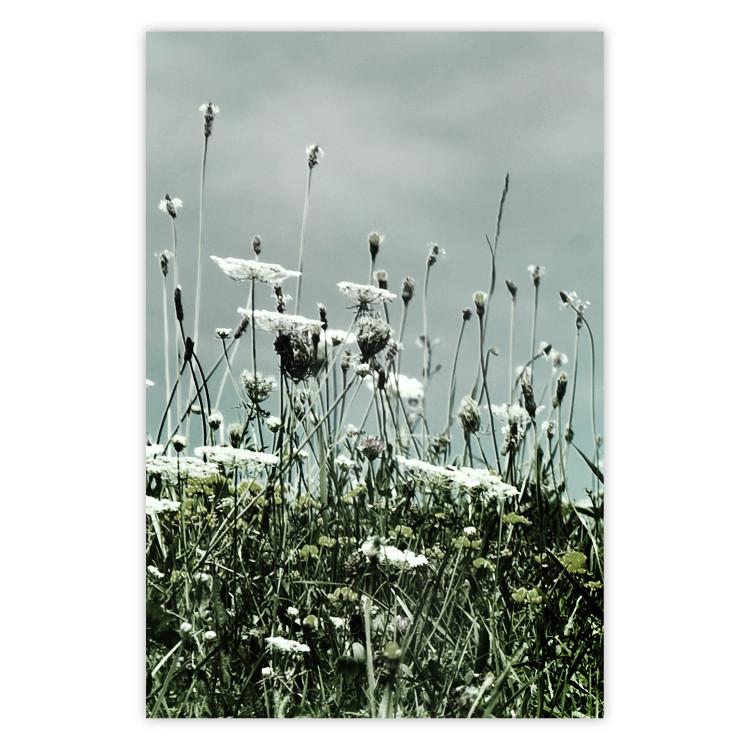 Poster Midsummer - landscape of a flower-filled meadow with cloudy sky in the background