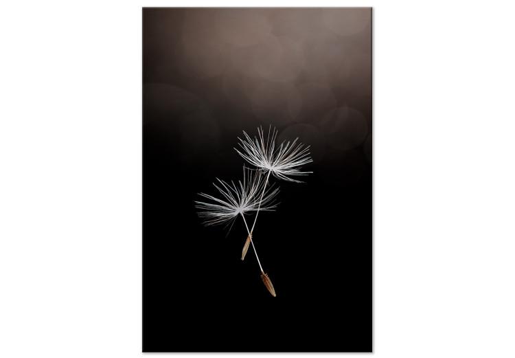 Canvas Print Two Dandelier Seeds - Boho Style Photography on a Dark Background